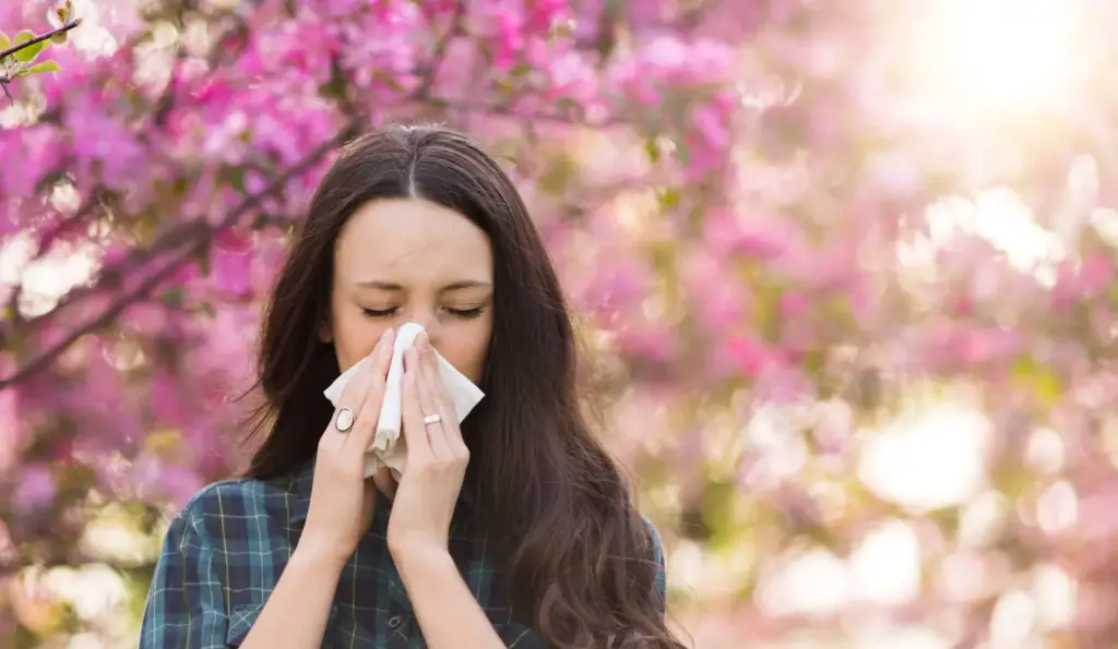 allergy desensitization