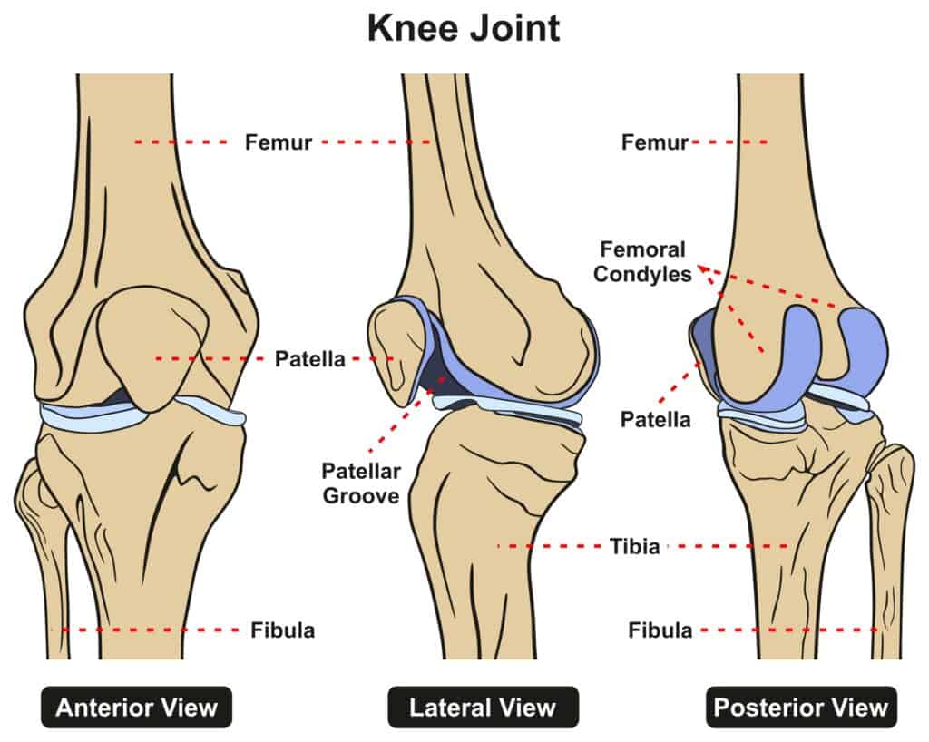 PENTOSAN FOR ARTHRITIS 