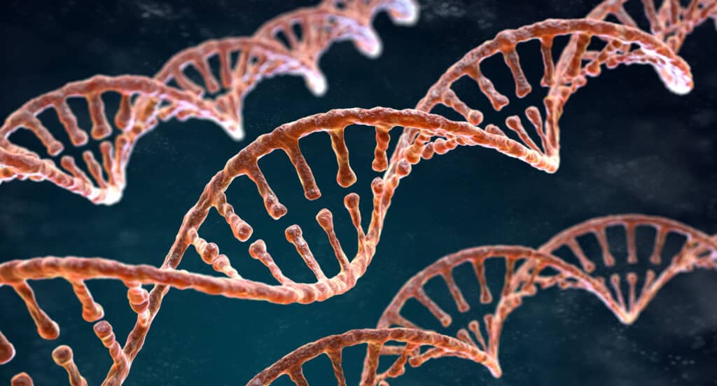MTHFR Genetic Mutation