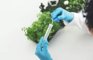 Quercetin Supplements