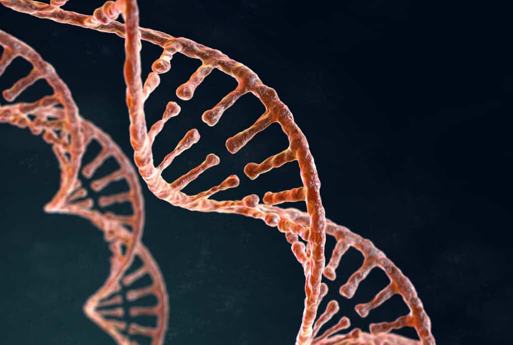 MTHFR-Genetic Mutation