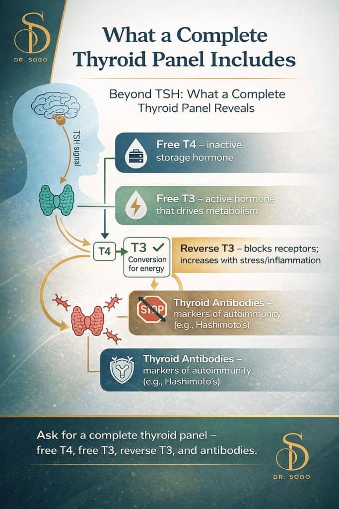 Complete thyroid panel diagram showing free T4, free T3, reverse T3, and thyroid antibodies – functional medicine approach