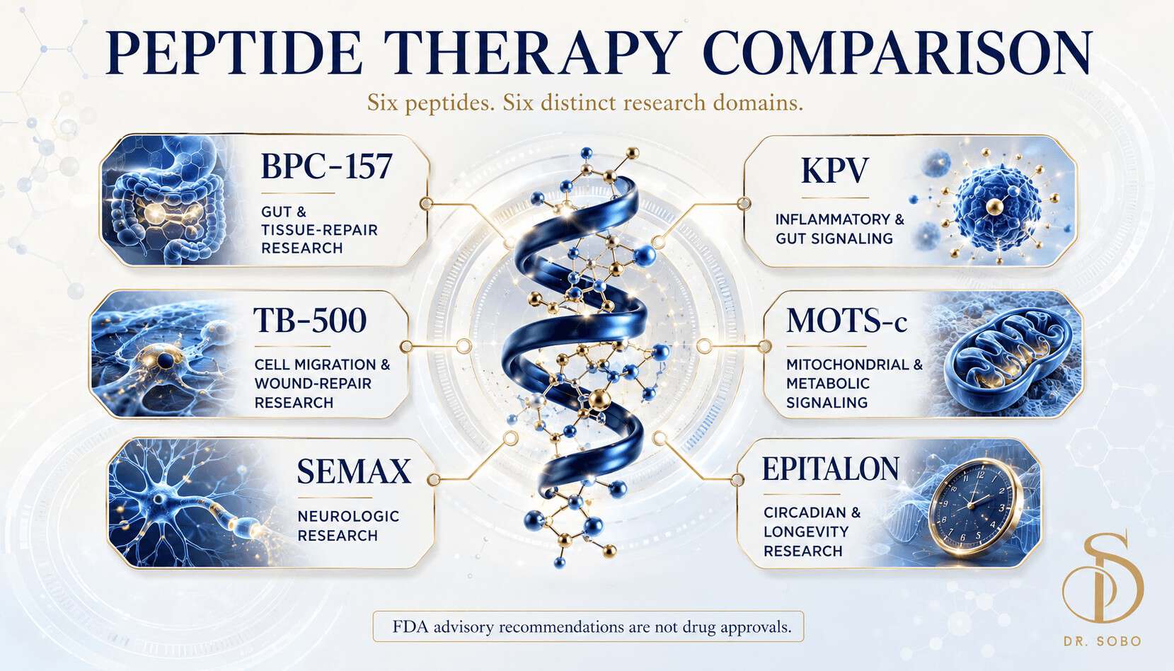 Peptide therapy comparison infographic explaining the research domains of BPC-157, KPV, TB-500, MOTS-c, Semax, and Epitalon
