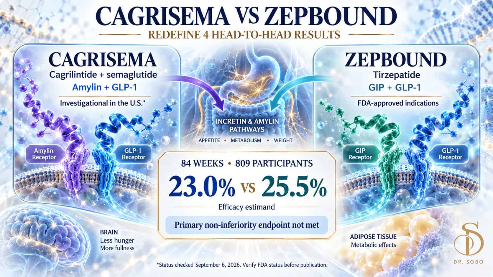 CagriSema versus Zepbound infographic showing mechanisms, REDEFINE 4 results, participants, duration and FDA status