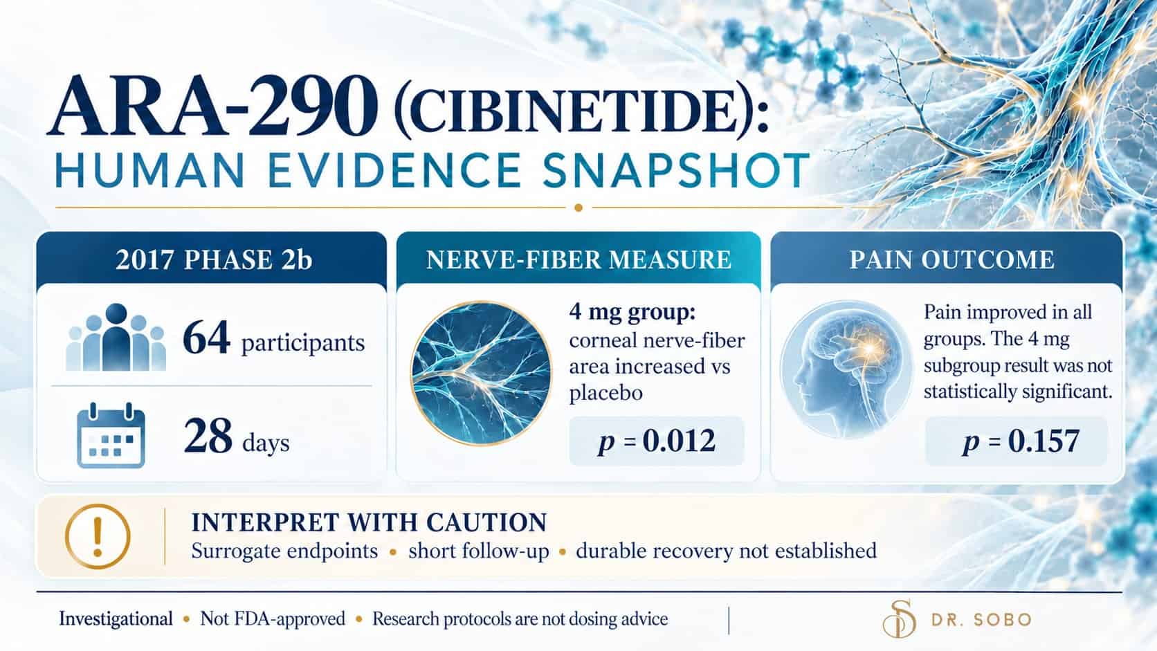Infographic summarizing the 2017 ARA-290 trial, its 4 mg nerve-fiber measurement result, and the nonsignificant pain comparison